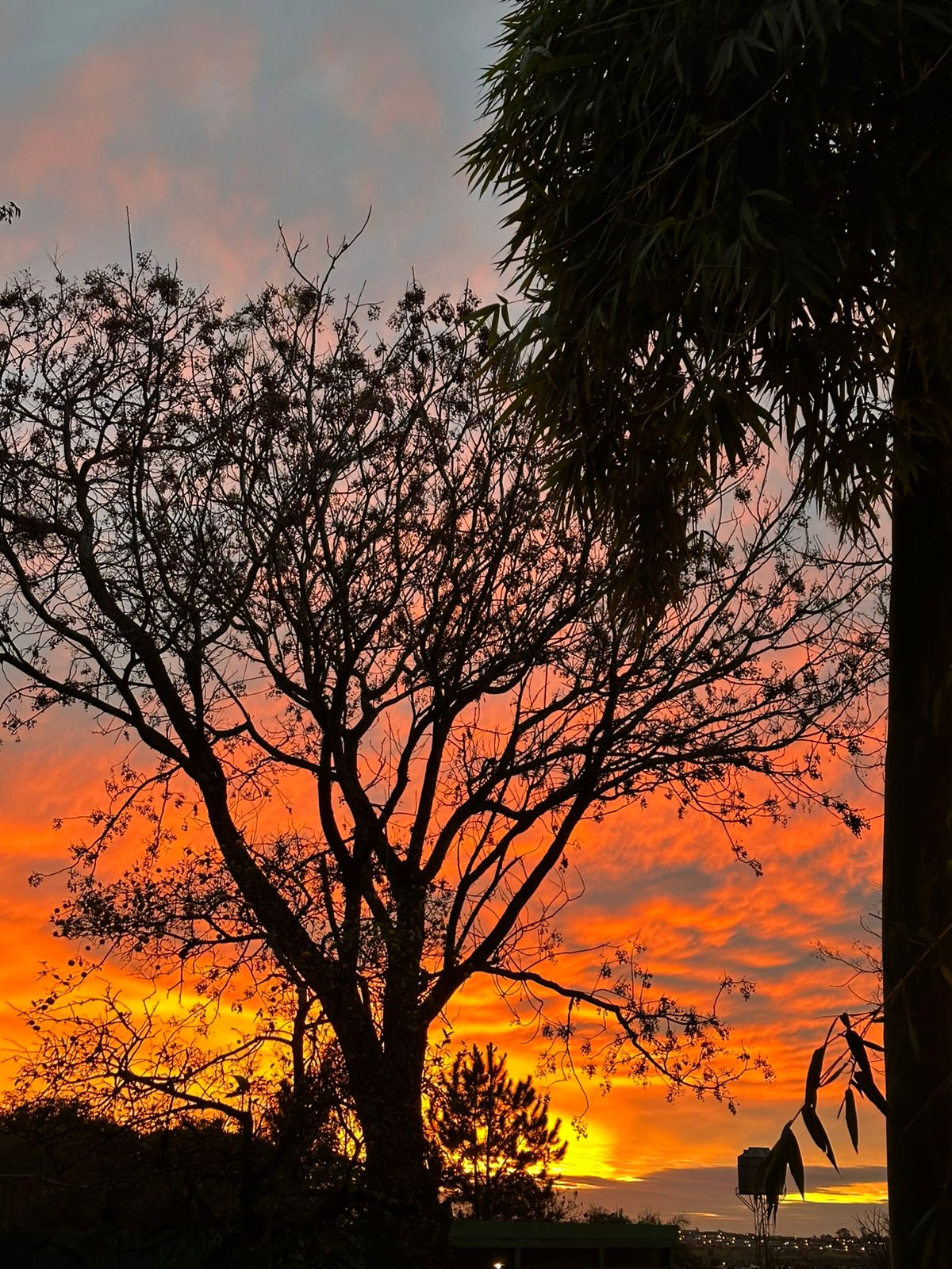 Atardecer Dorado y Fuego